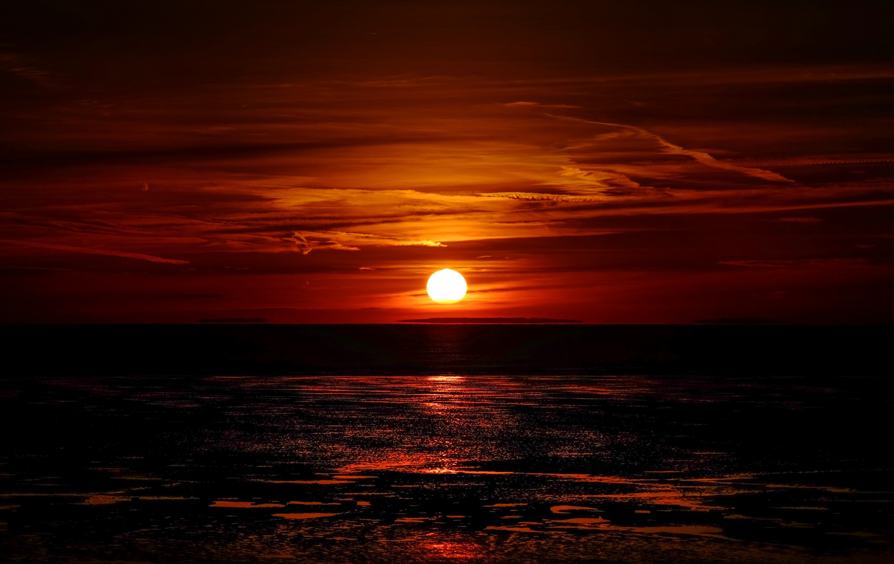 Awareness and trauma recovery — disengaging from reaction to be present