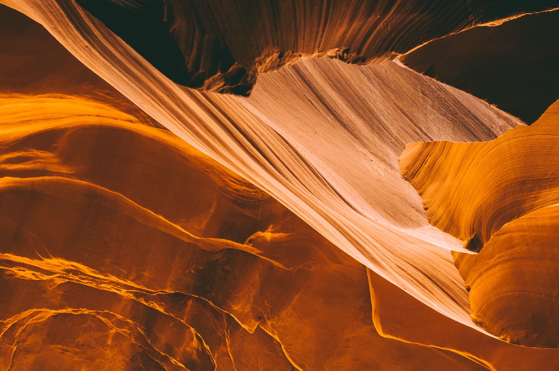 Completing the fight or flight response — the body finishing what trauma interrupted