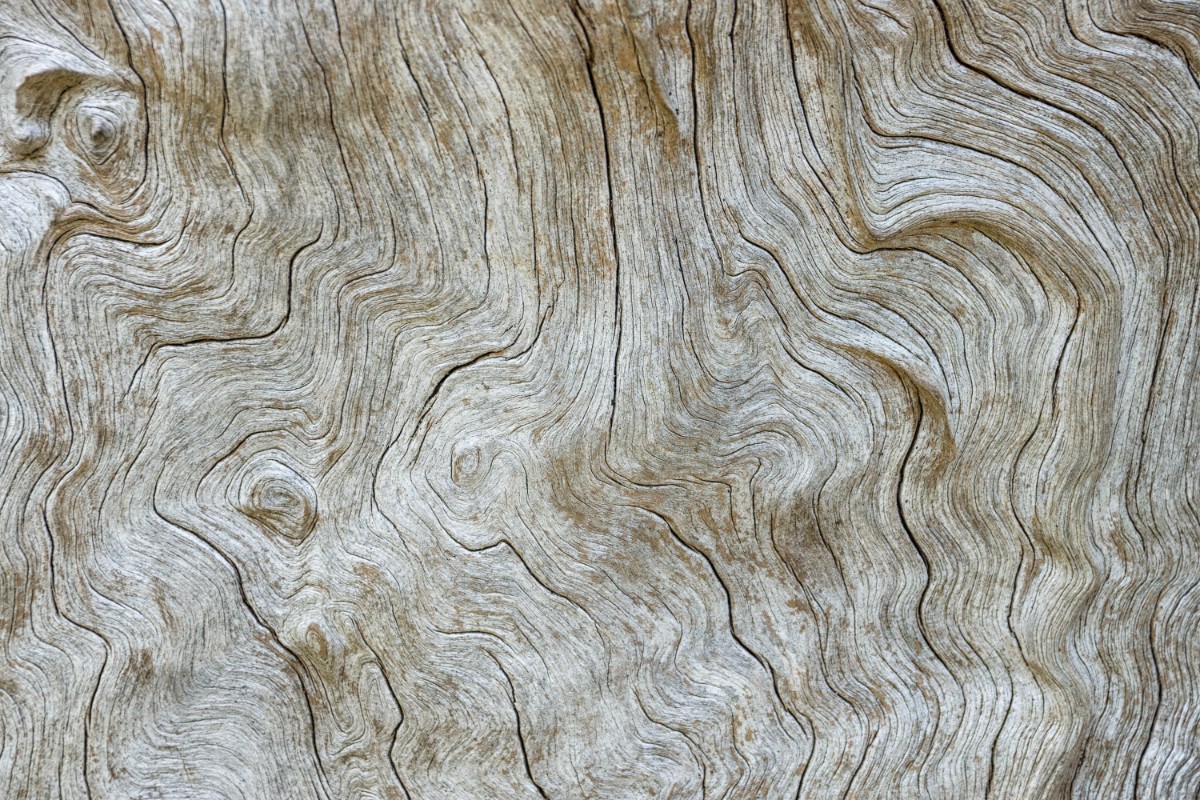 Complex trauma recovery — from dissociation and fragmentation toward non-dual awareness
