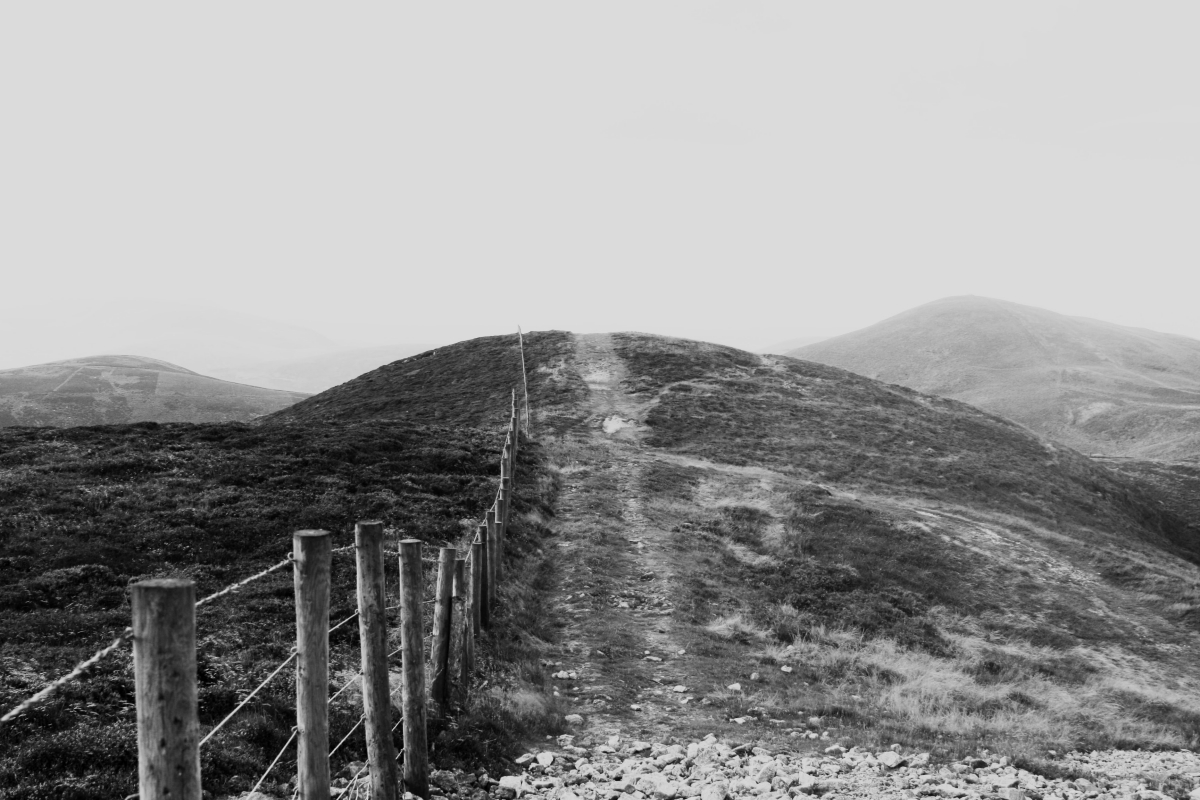 Healing delayed emotional response — closing the gap between trigger and feeling through somatic work
