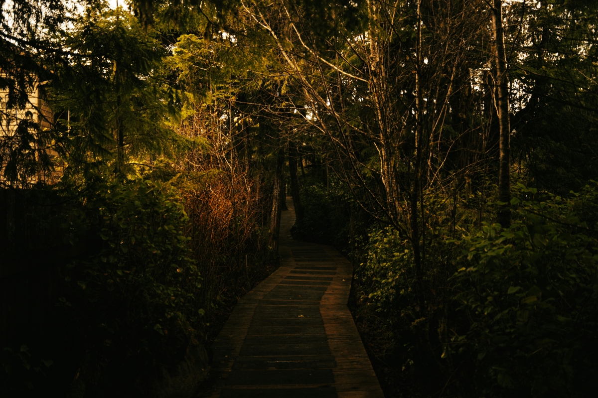 Dissociation examples — how trauma layers core emotions beneath coping emotions