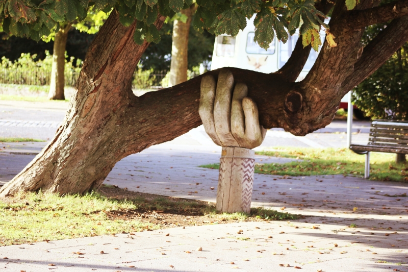 Do I have trauma — recognising the signs of unresolved nervous system stress