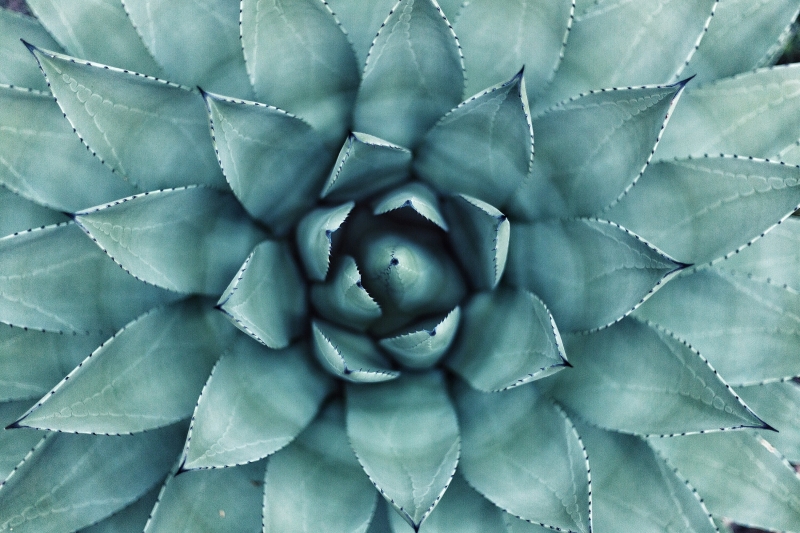 Healing from emotional abuse — owning anger and reestablishing boundaries through somatic trauma work