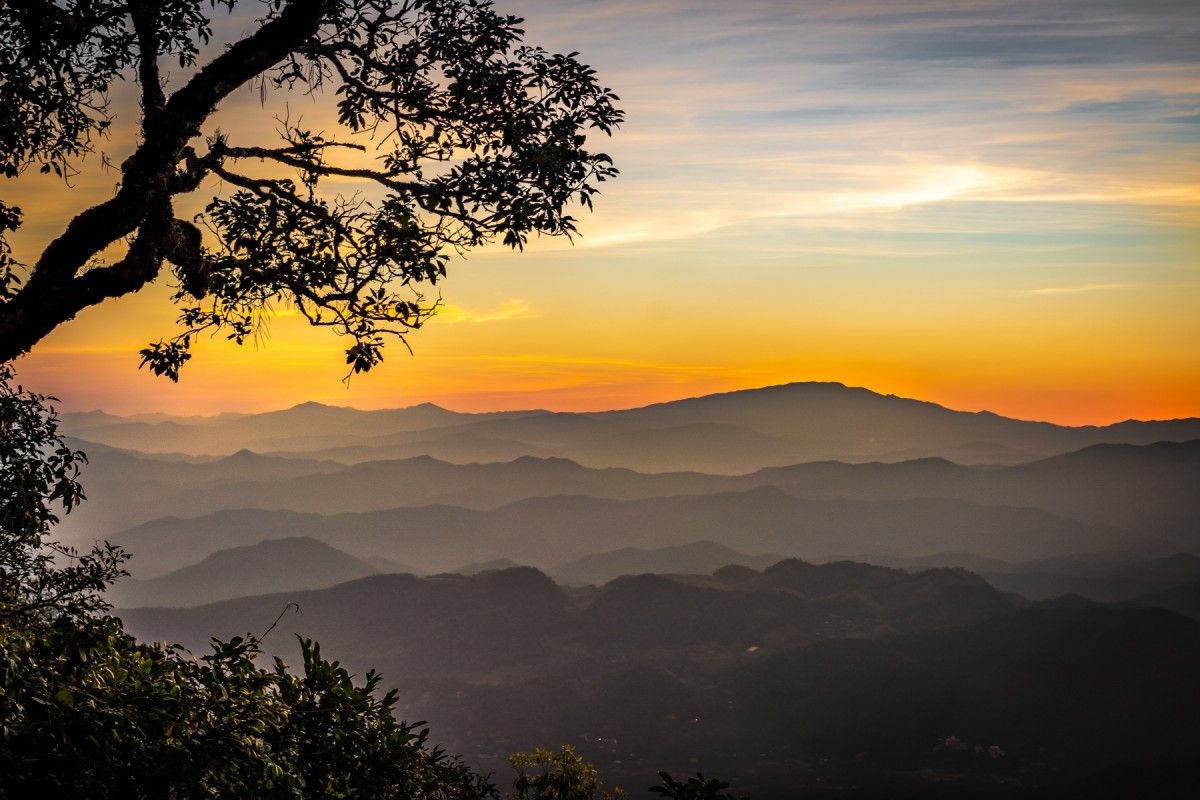 Emotional coping after trauma — balancing activation and stillness for nervous system recovery