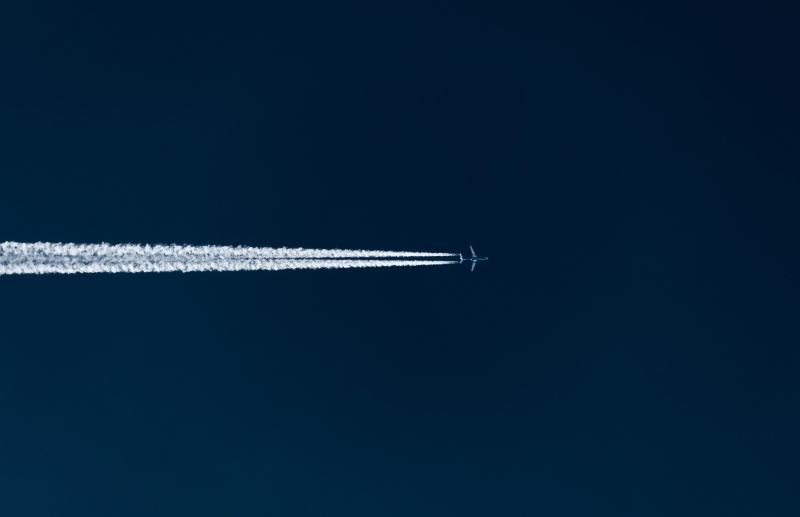The flight survival response — how avoidance and escapism become hardwired through childhood trauma