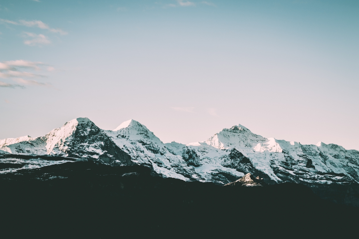 Why the freeze response gets stuck — dissociation as a safe place and the path to somatic healing