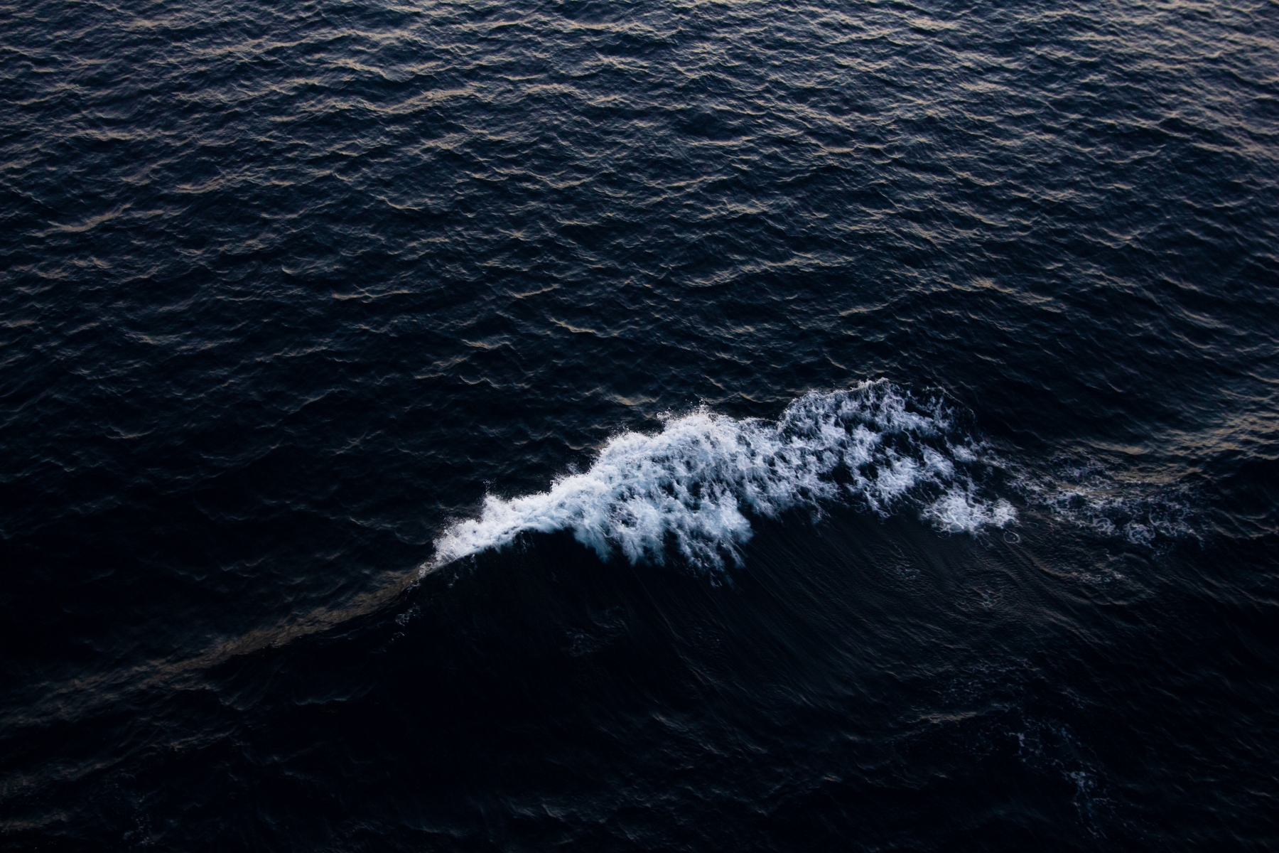Why the "Get Rid of It" Mindset Keeps Trauma in Place