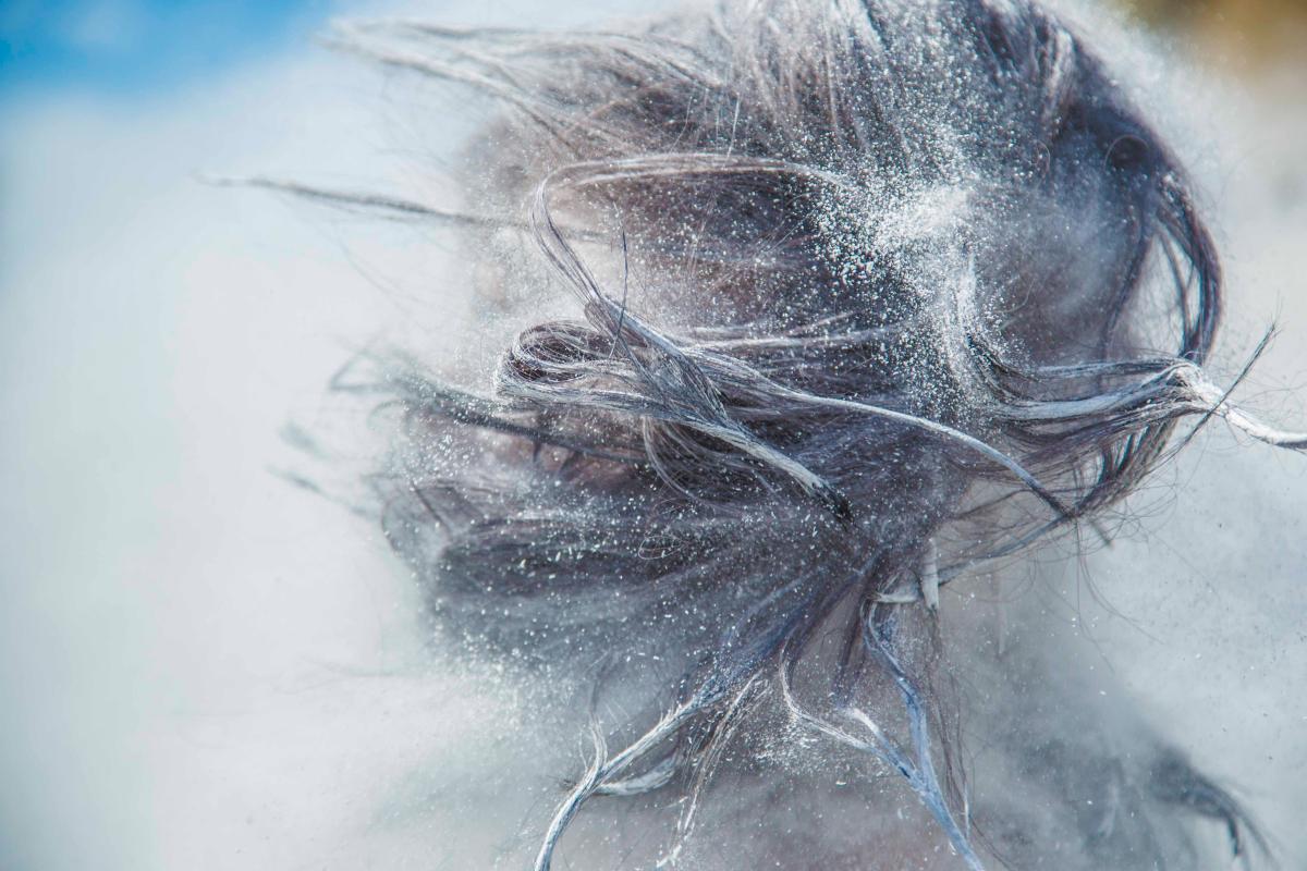 Meditation and Healing Trauma: Why Observation Is the Most Powerful Tool