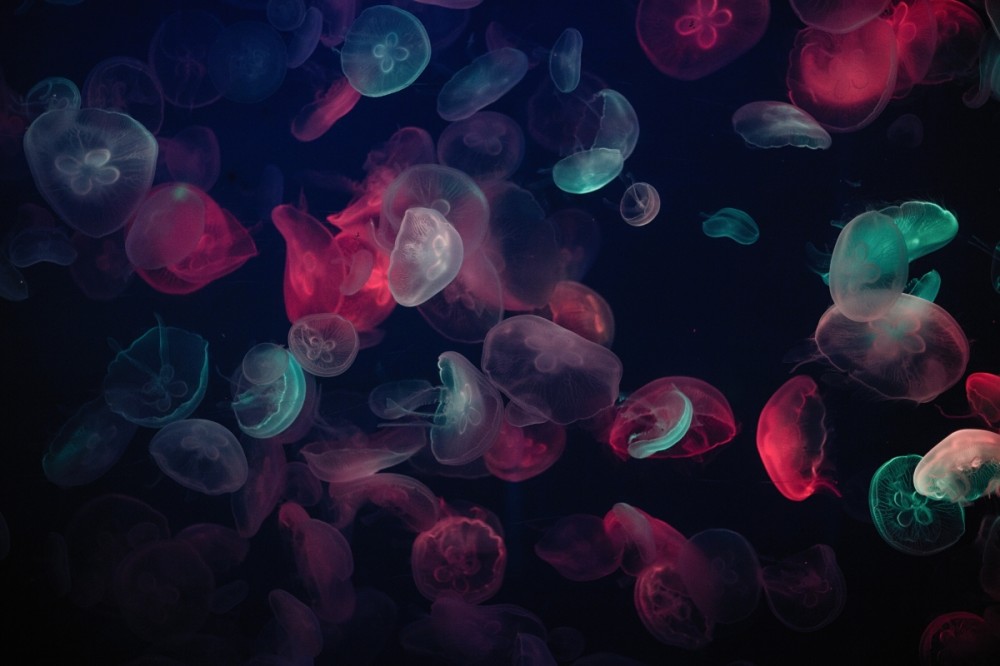 Body awareness and somatic meditation — working with nervous system activation for sleep