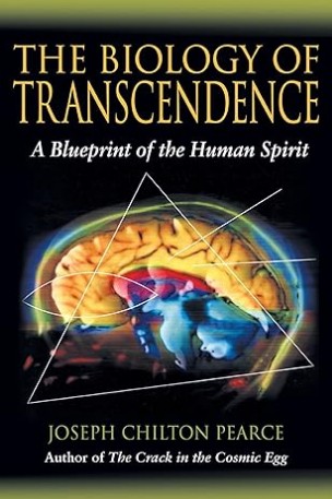 The Biology of Transcendence by Joseph Chilton Pearce — book cover