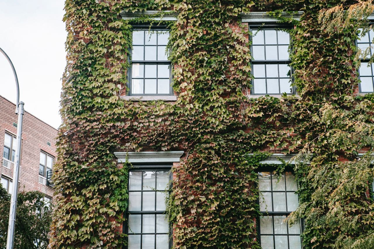 Rebuilding resilience after trauma — working with core emotions and nervous system regulation