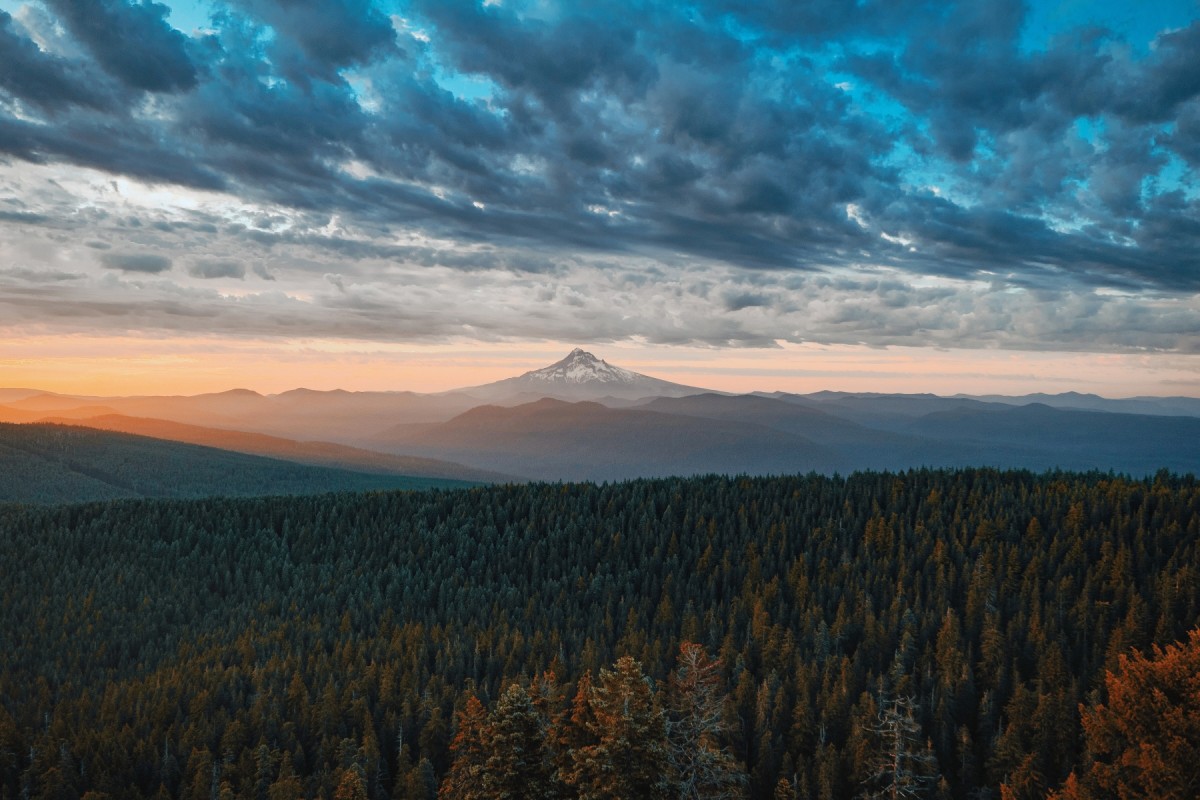 Trauma fatigue — why unresolved stress drains your nervous system energy