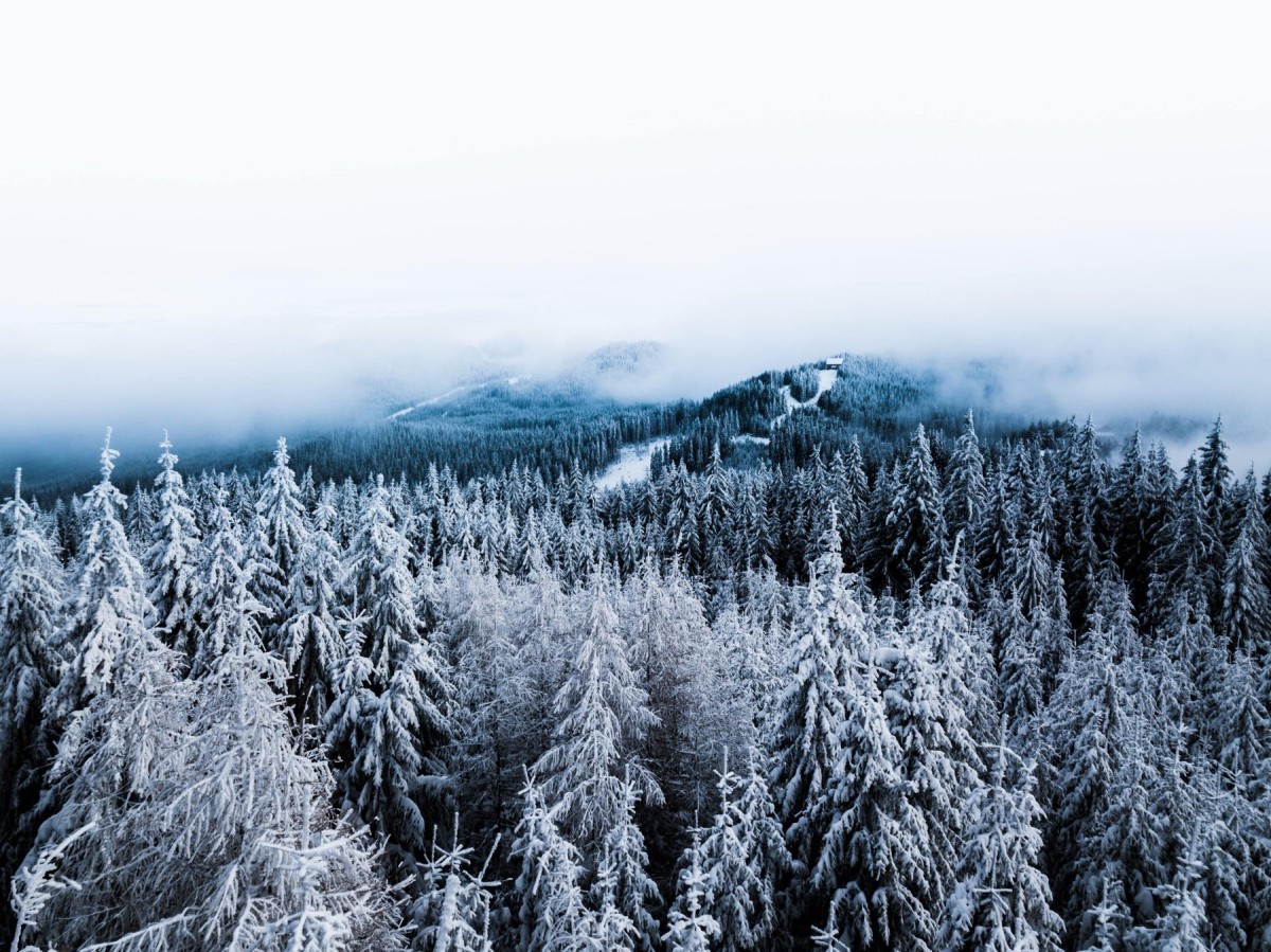 Trauma Recovery and The 3 Ways of Working Through It