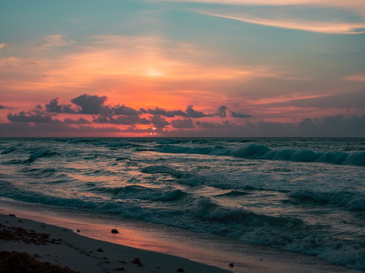 Recognising trauma symptoms — the path from nervous system dysregulation to healing