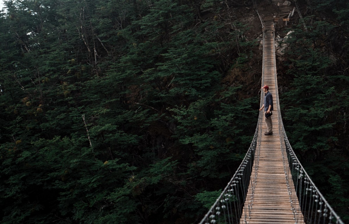 Trauma Therapy Key Concepts: The Language That Guides the Healing Process