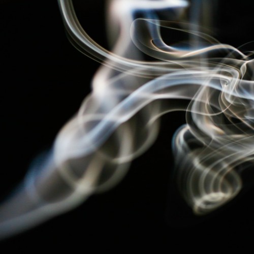 ptsd-ayahuasca-trauma-recovery