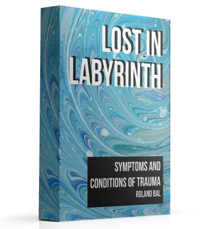 Lost In Labyrinth ebook by Roland Bal
